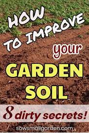 How To Make Soil Fertile Naturally Sow Small Garden Garden Soil Vegetable Garden Planning Easy Garden Ideas Landscaping