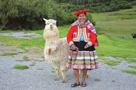 Image result for Loudetia kagerensis