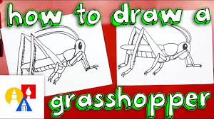 How To Draw A Grasshopper Youtube