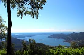 Vendita case, ville e immobili di pregio sul lago maggiore. Lago Maggiore Villa Vista Lago In Vendita