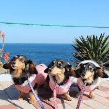 ライブドアブログ