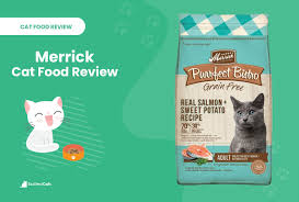 Above all when weighing the pros and cons of the outdoor vs. Merrick Cat Food Review 2021 Recalls Pros Cons Excitedcats