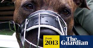 Those are the grim facts, according to the royal . Pit Bulls Kill Jogger Police California The Guardian