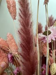 Image result for Chloris