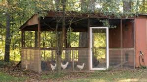 Our chicken coops are home to over 25,000 hens in all 50 states. Chicken Run Requirements Hgtv