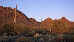 This blog is for all of our students, their parents and anyone interested in we had 16 yogis last week at yoga oasis. Prior Hot In The Desert