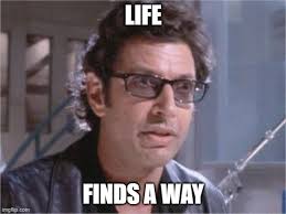 Life Finds A Way Imgflip