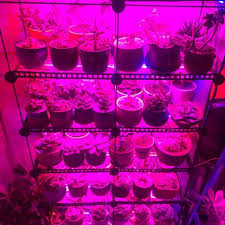 Show off your indoor garden without harsh or unsightly lighting. Led Grow Lights Waterproof Flexible Soft Grow Light Strip With Power Supply For Indoor Plants