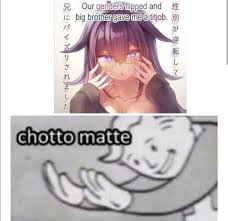 Excuse Me What Anime Memes Otaku Anime Memes Anime Memes Funny
