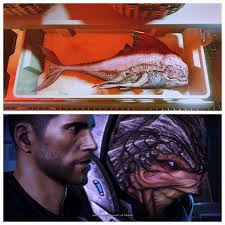 That's a suss looking fish... 👀