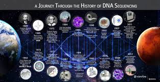 Consequently, dna can be considered as one of the building blocks of the body. A Journey Through The History Of Dna Sequencing The Dna Universe Eurofins Genomics Blog