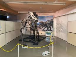 むかわ町 - 【ついに穂別博物館で登場！】  現在準備中ですが、カムイサウルス・ジャポニクスが穂別博物館にて展示予定です。余りに大きすぎて全身が入らず一部分は未展示となっています。  準備が整うのが心待ちです。ぜひ穂別博物館へお越しください！ 〈穂別博物館 ...