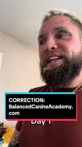 Territorial Dog Training Progress: Nyx Overcomes Aggression