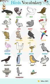 Wir hoffen, es hilft ihnen, englisch besser zu verstehen. Alle Lieben Tiere Halten Sie Als Haustiere Sehen Sie Im Zoo Oder Besuchen Niedlichetiere Club Suggerimenti Per Lo Studio Grammatica Inglese Lingua Inglese