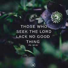 The Lions May Grow Weak And Hungry But Those Who Seek The Lord Lack No Good Thing Psalm 34 10 Psalm Vineyardworship