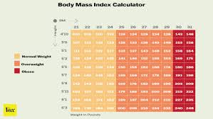 Everything You Wanted To Know About Obesity And Weight Loss