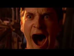 Spider Man 2 Scream Meme