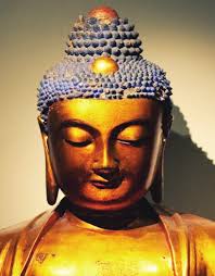 MUSEUM OF ANTHROPOLOGY ANNUAL REPORT 2009-2010