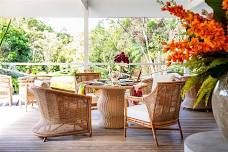 A Winter High Tea in the Rainforest