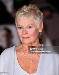 232 photos et images haute résolution de Judi Stone