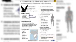 Pasa de murciélagos a humanos. Ng8qdba3hic Jm