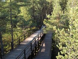 Nowy targ é um município da polônia, na voivodia da pequena polônia e no condado de nowy targ. Urzad Miasta Nowy Targ Informacje