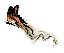 If Chaos Theory Tattoo Doesn T Work Out Bug Tattoo The Girl With The Dragon Tattoo Temp Tattoo