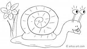 For boys and girls kids and adults teenagers and toddlers preschoolers and older kids at school. Snail Coloring Page Printable Coloring Page Artus Art