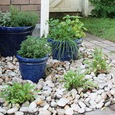 Check spelling or type a new query. Grow An Herb Garden