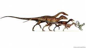 Dinosaurus Baru Argentina Bingungkan Ilmuwan Iptek Laporan Seputar Sains Dan Teknologi Dan Lingkungan Dw 14 07 2016 Saat anda memimpikan bunga kuning, mimpi ini melambangkan bahwa anda mencari pasangan untuk memberi anda semua yang anda butuhkan. dinosaurus baru argentina bingungkan