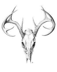Deer Skull Large Scientific Illustration Etsy Deer Skull Tattoos Deer Skull Drawing Bull Skull Tattoos