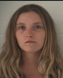 Two arrested in string of home burglaries