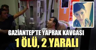 birkaÃ§ yaprak doÄŸuhan Ã§iÄŸit ile ilgili gÃ¶rsel sonucu