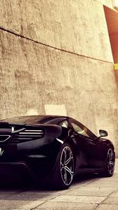 Forest, kids, custom, world map, floral, beach, tropical, city Wallpaper Car Zoom Wallpress Free Wallpaper Site