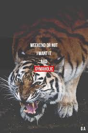 They judge you but they're doing nothing with their lives. Weekend Or Not Fitness Motivation Quotes Fitness Motivation Inspiration Gym Quote