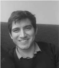 Prosumers Flexibility as Support for Ancillary Services in Low Voltage  Level