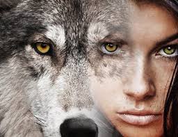 Kelly Diels Archives