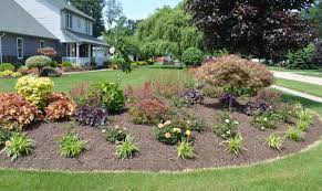 Just one look at the elegant form and foliage of japanese maples will have you hooked. 23 Landscaping Ideas With Photos Mike S Backyard Nursery