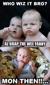 See more ideas about gaming memes, memes, funny memes. Funny Pics Pmsl Scottish Memes Funny Pictures Scottish Scottish Words