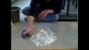 Spritz this solution all over the area where your dog vomited. How To Clean Pet Vomit From Carpet Remove Pet Stains From Carpet Vinegar To Clean Carpet Youtube