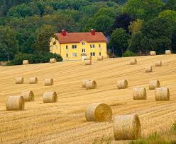 Image result for tbn:0PJB32OL7JwfOM::farm4.static.flickr.com/3324/3329876139_f2d551139f.jpg