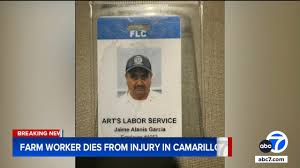ABC7 Los Angeles - News update