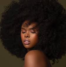 Candice Sabiduria Natural Model Management Llc Natural Hair Styles Curly Hair Styles Hair Styles