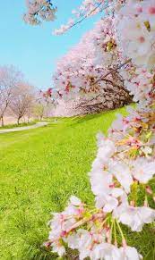 Beautiful Landscapes And Flowers Spring Wallpaper Beautiful Landscapes Beautiful Nature Wallpaper