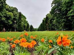 Rectificarea bugetară la primăria capitalei. PrimÄƒria BucureÈ™ti