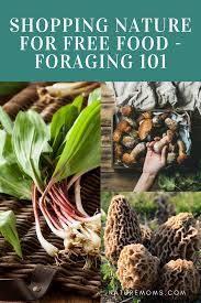 Shopping Nature For Free Food Foraging For Beginners In 2020 Wild Food Foraging Foraging Recipes Foraged Food