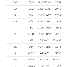 Chicos Size Chart