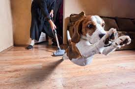 Llsystemsco.com/products/surfa… an innovative vacuum repair lakewood co technology that has taken the world by storm is the bag less vacuum technology. Benefits Of A Central Vacuum From Central Vacuum Of Colorado Springs