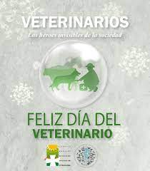 El comité de ganadero del tolima se une a las manifestaciones de agradecimiento a nuestros veterinarios.feliz día!!! Consejo Andaluz De Colegios Oficiales De Veterinariosveterinarios Los Heroes Invisibles De La Sociedad Celebran Su Dia Mundial Consejo Andaluz De Colegios Oficiales De Veterinarios