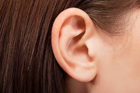 Image result for Cochlear Implant